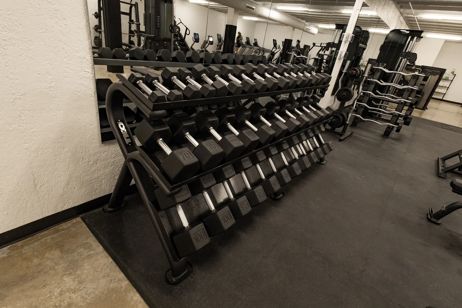 Boone FLEX Free Weights