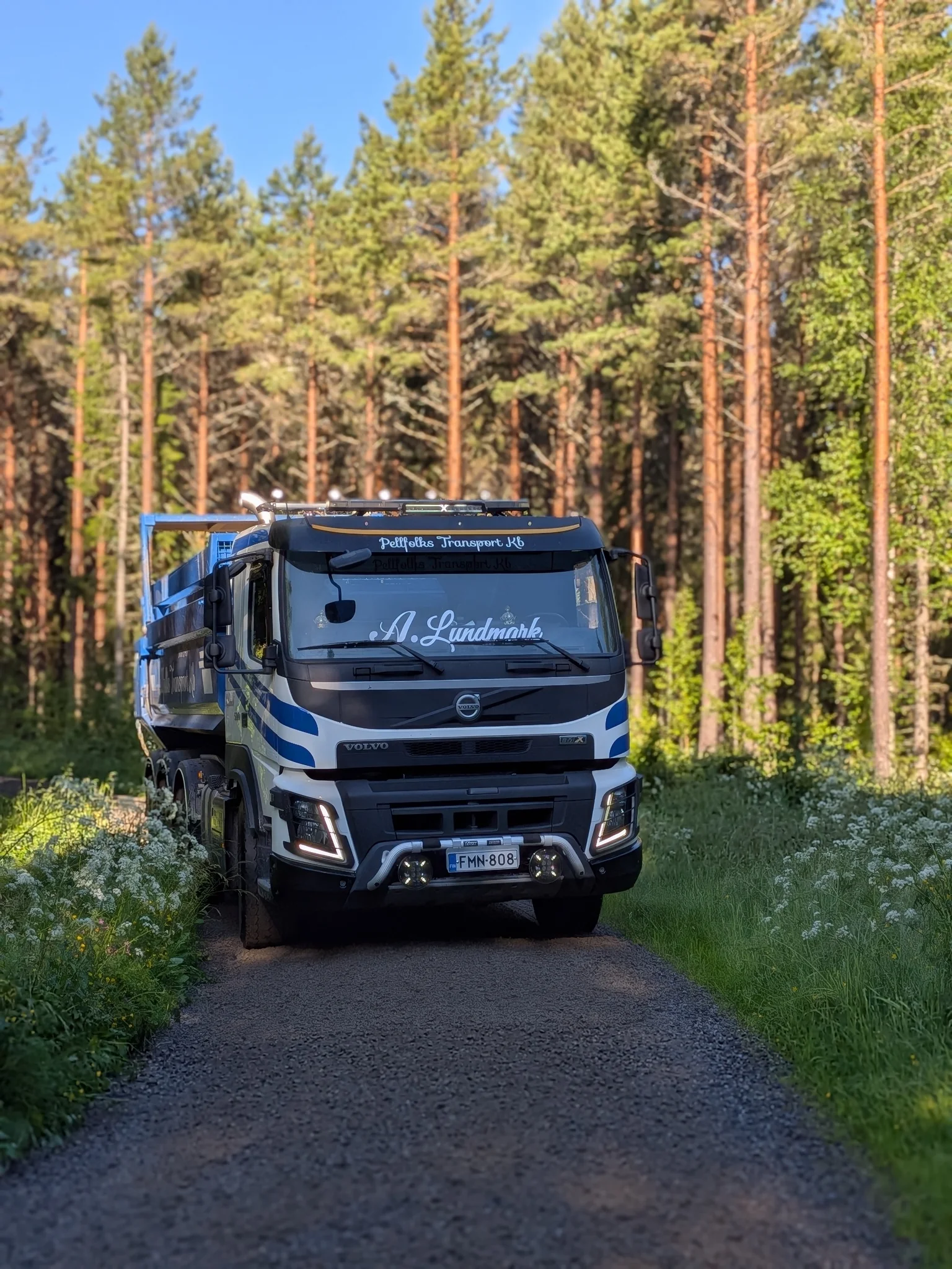 Pellfolks Transport lastbil i skogsmiljö