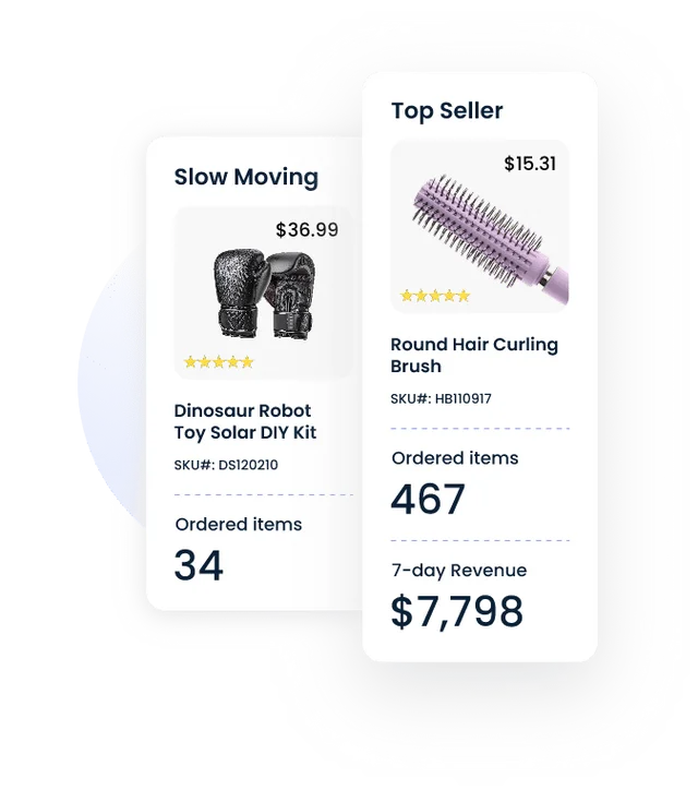 SellerSnap Analytics Hero