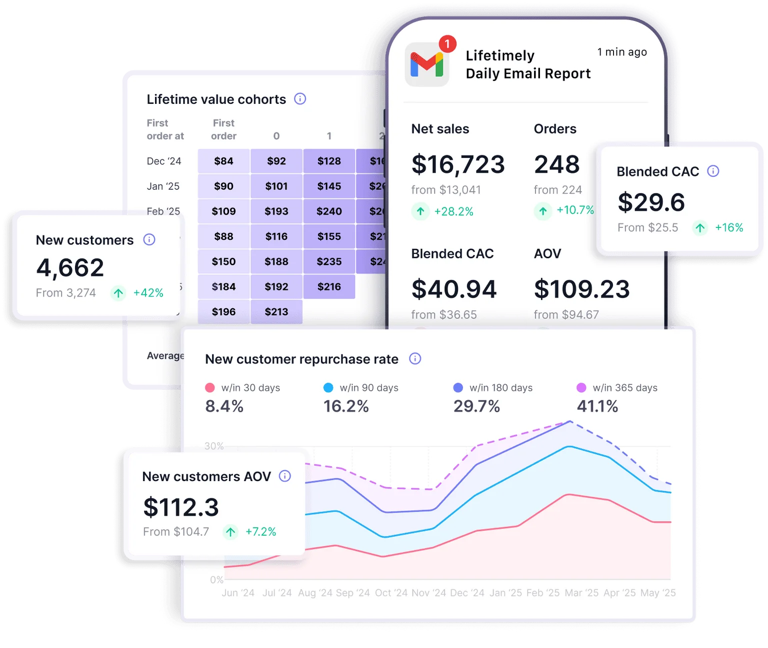 Lifetimely LTV cohort analysis dashboard