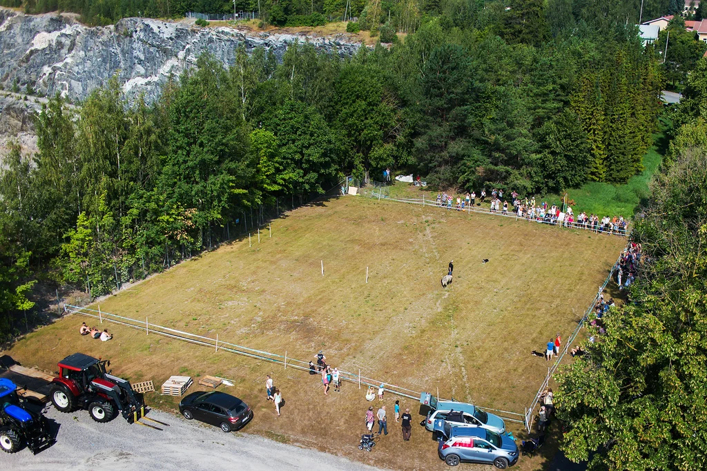 Boundbirs'n 2014 - IMG_0660