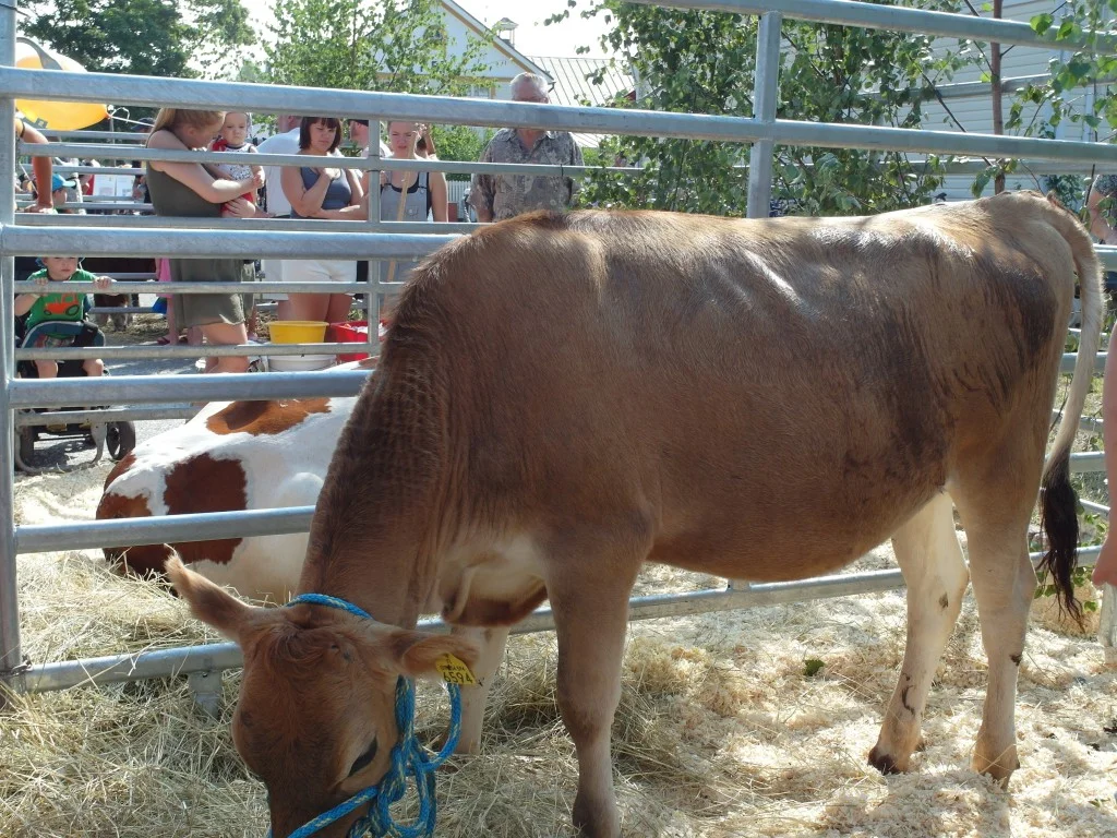 Boundbirs'n 2014 - SAM_1225-1024x768