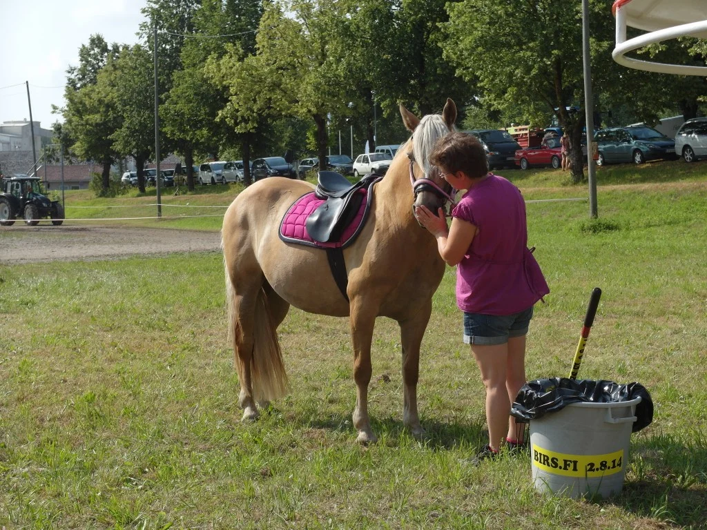 Boundbirs'n 2014 - SAM_1235-1024x768