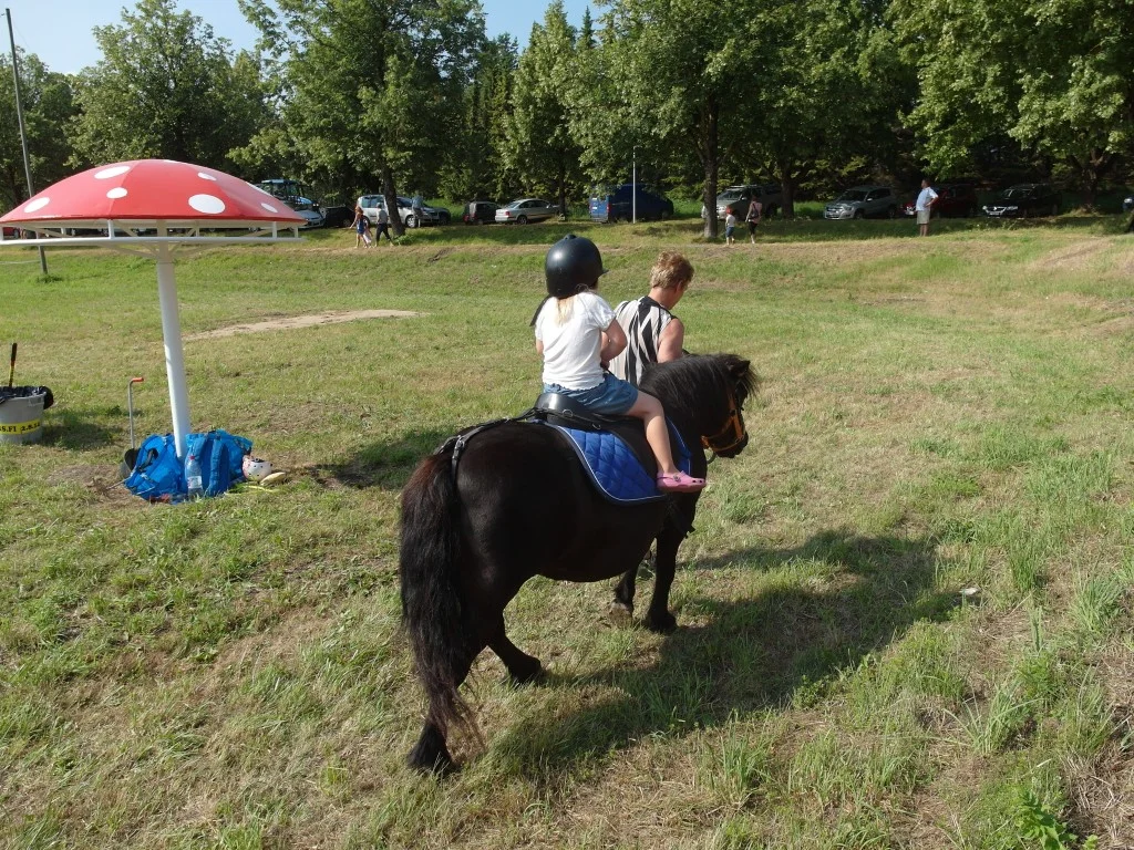 Boundbirs'n 2014 - SAM_1236-1024x768