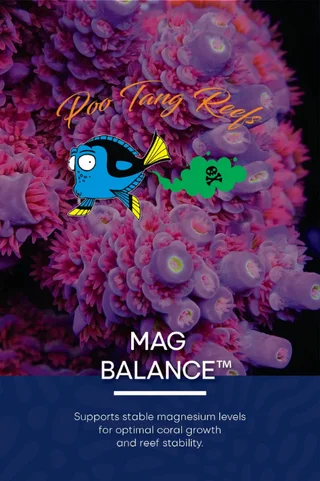 MAG BALANCE™ (32oz Bottle)