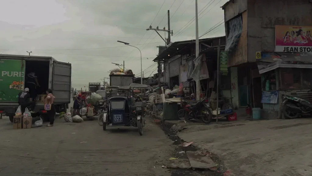 Philippines Field Notes